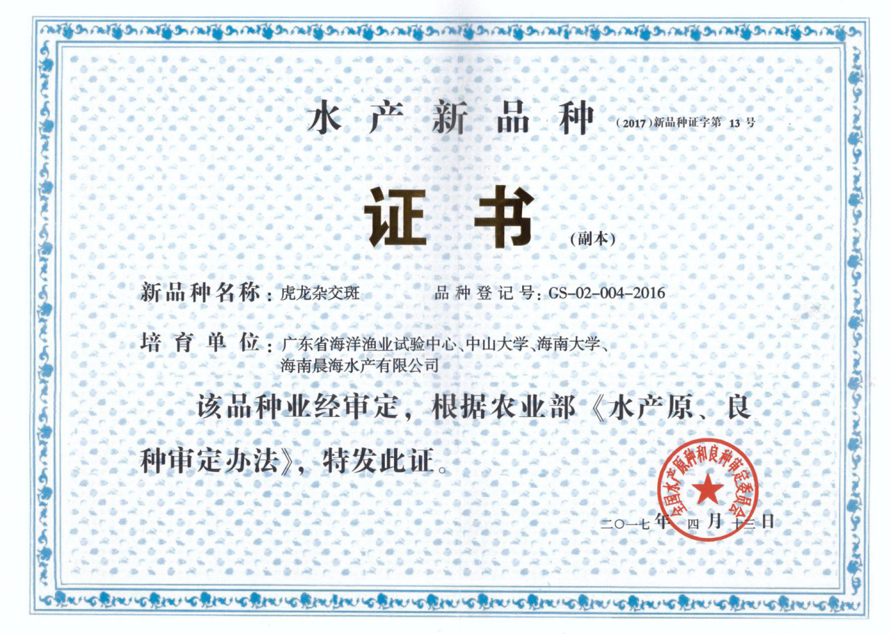 厲害了，我的“虎龍雜交斑”
