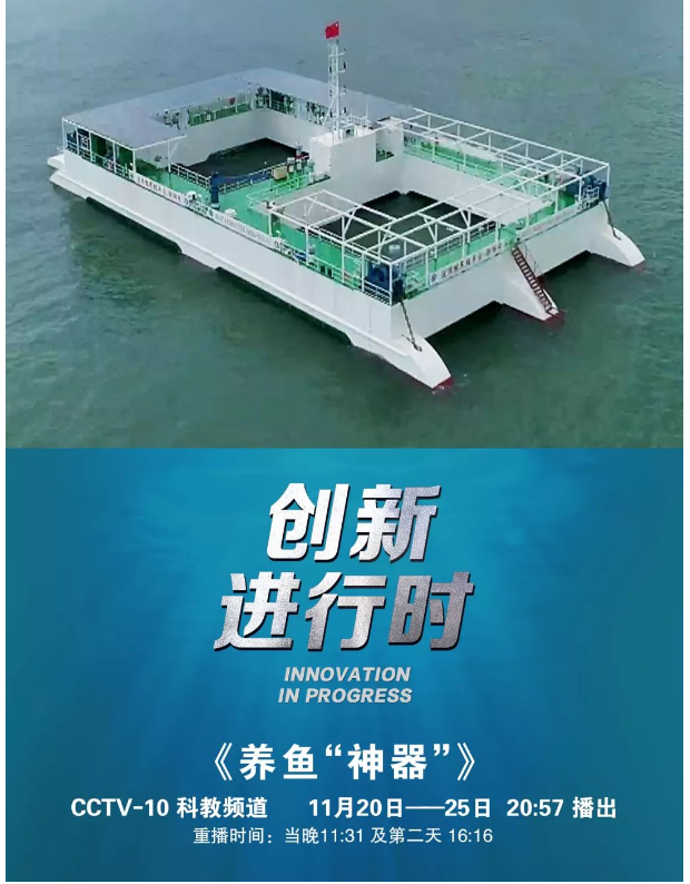 風(fēng)再猛、浪再大，都攔不住我養(yǎng)魚的雄心！
